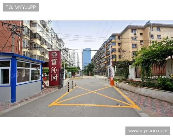 运用富88的策略，实现理财目标，享受优质生活的秘诀